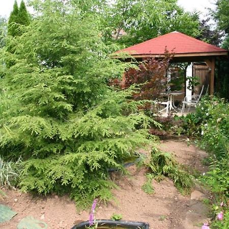 Pension Haus Zum Schlehenberg Bayreuth Eksteriør bilde